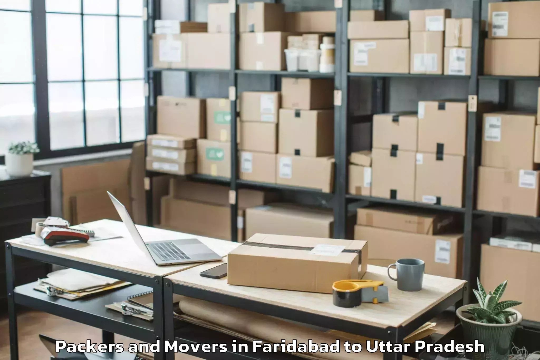 Professional Faridabad to Hamirpur Uttar Pradesh Packers And Movers